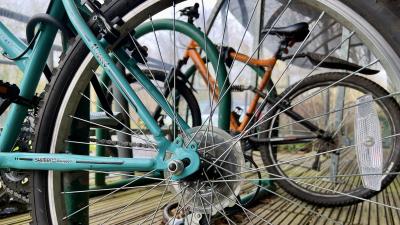 Bicycles in a bike rake